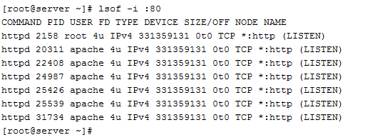 Common Server Issues and Solutions