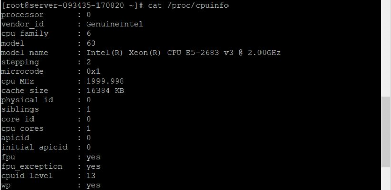 How to check VPS Server parameters with Linux command